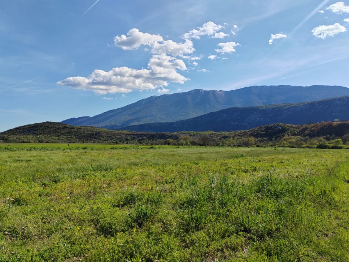 Land for sale in Danilovgrad